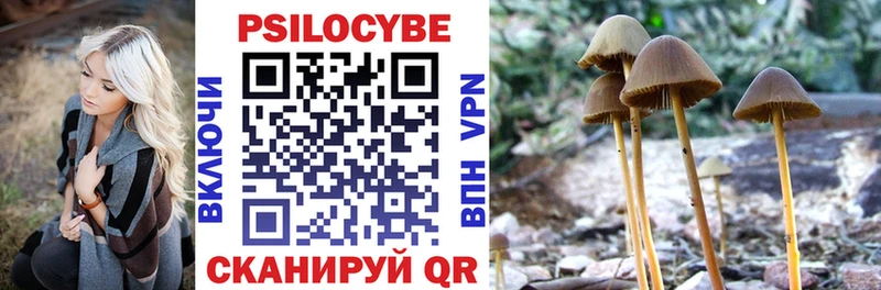 Псилоцибиновые грибы Psilocybine cubensis Алексеевка